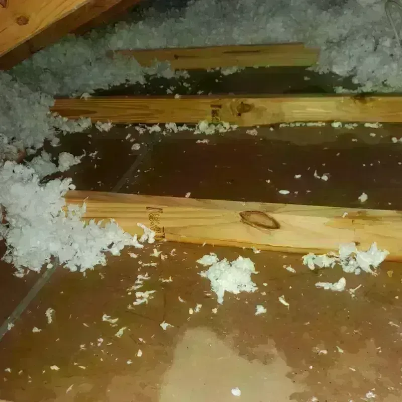 Attic Water Damage in Caraway, AR