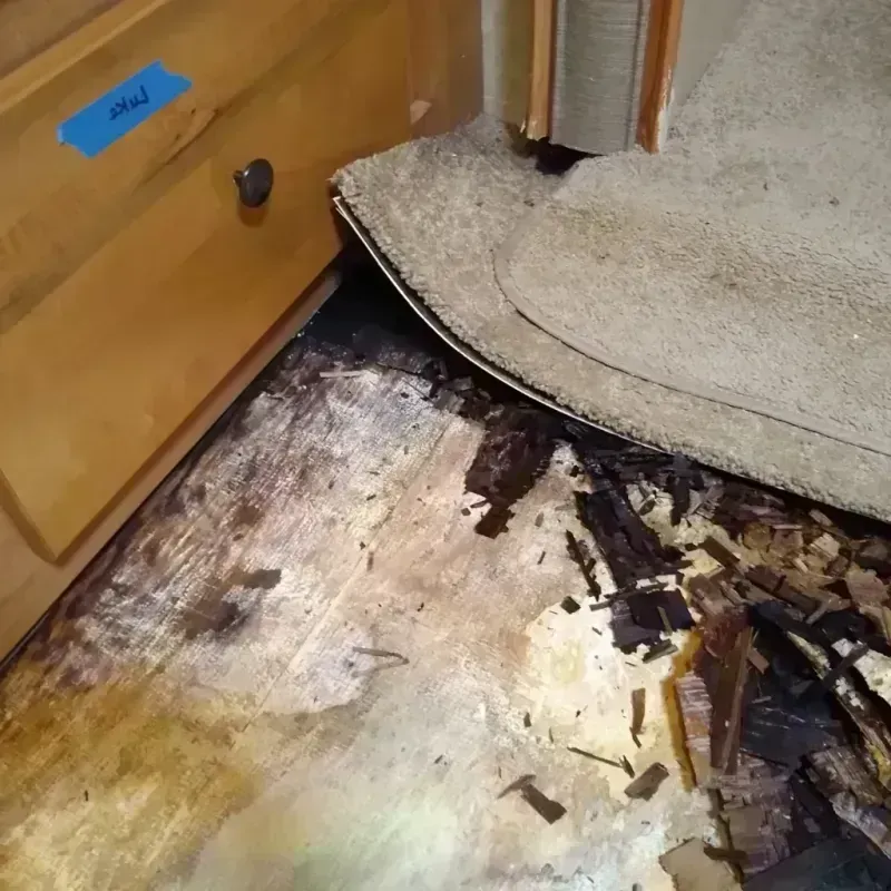 Best Wood Floor Water Damage Service in Caraway, AR